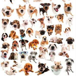 Meet your Posher, Daniela